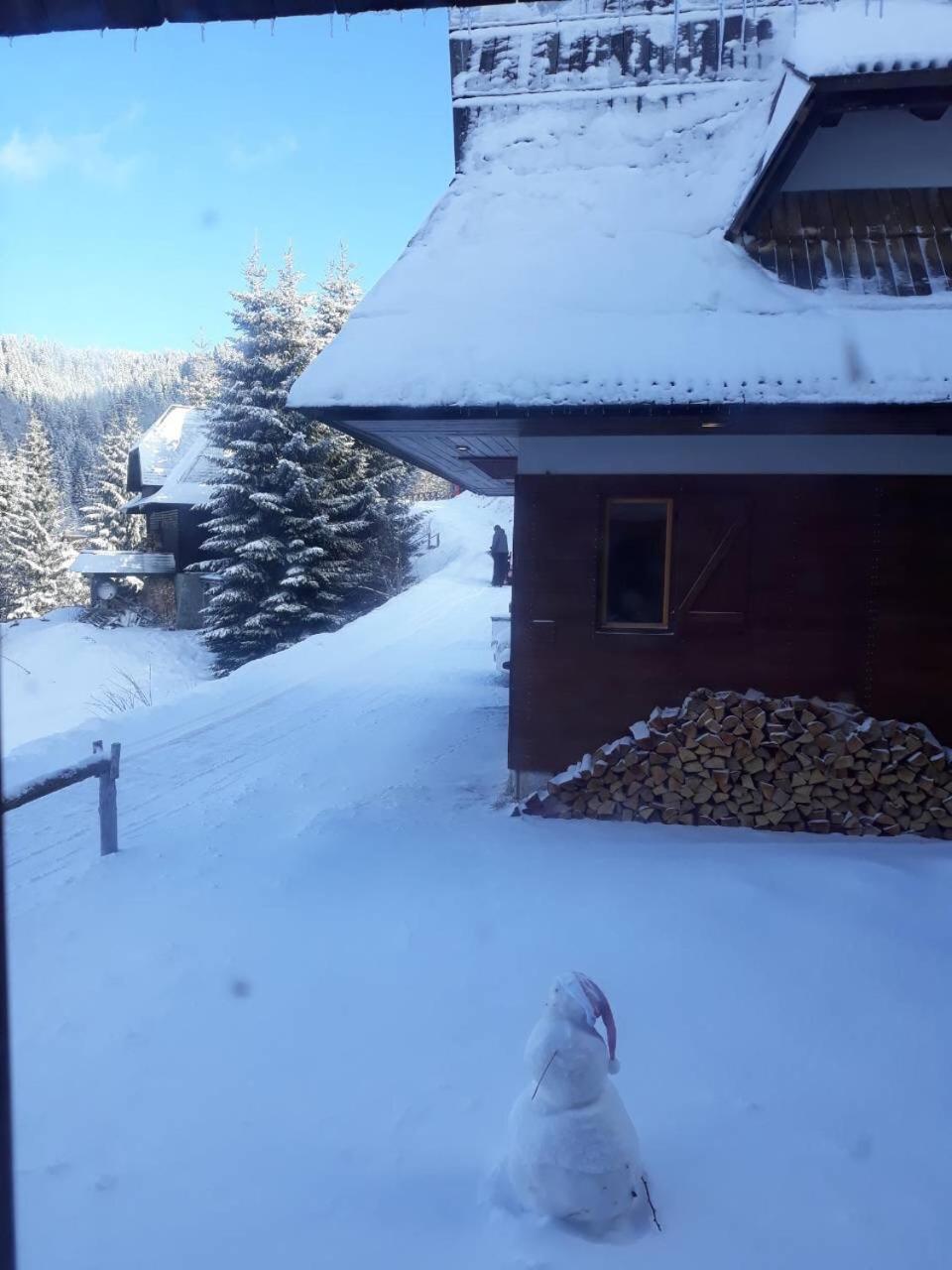 Holiday Home Elena Копаоник Экстерьер фото